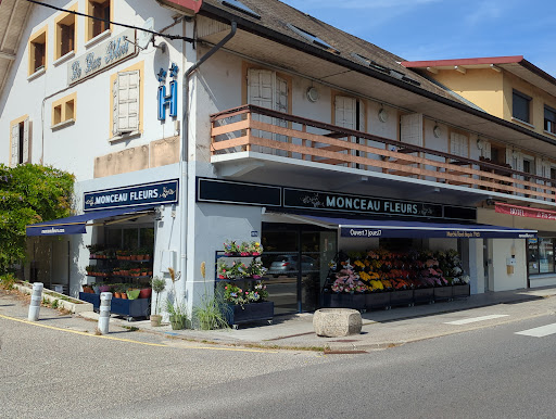 Monceau Fleurs Sevrier