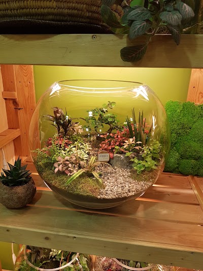 Photos of Terra Garden Co