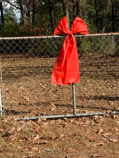 Stringfellow Cemetery - Visual