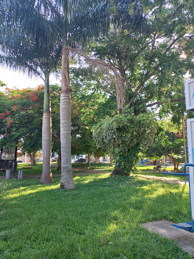 Cuarta Park - Visual