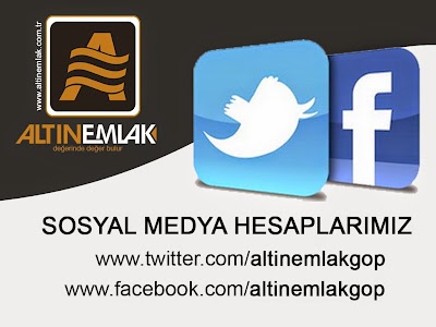 real-estate-agency