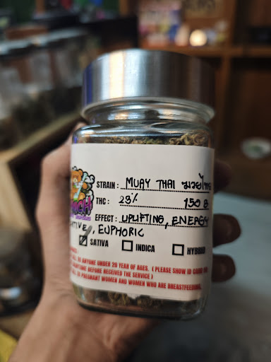 Panich Koh-Samui (Weed Shop,Cannabis Dispensery,Cafe,Coffe Shop,Марихуана,Ganja,Best Weed,Weedstock,กัญชา,ร้านกัญชา)