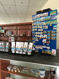 Photo n°42 de Restaurant Chez Mireille & Résidence Reingam Park Motel à Berck (Terrain pour camping-cars)