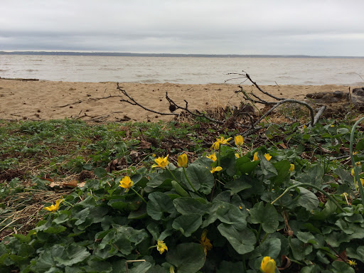 Potomac Trail