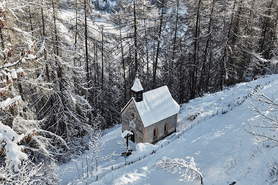 Goldene Rose Karthaus by null