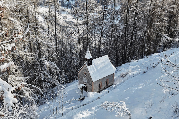 Goldene Rose Karthaus by null
