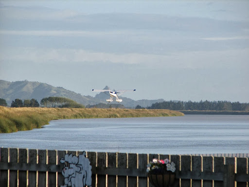 Dargaville Park Over - Thumbnail