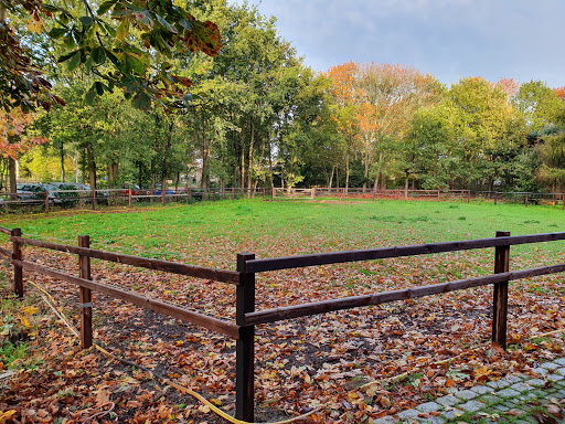 Villa Berk en Heide - Thumbnail