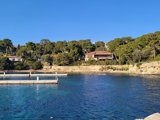 Port du Niel - Thumbnail