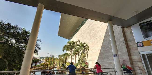 Aeropuerto Internacional José Joaquín de Olmedo - Servicio de transporte