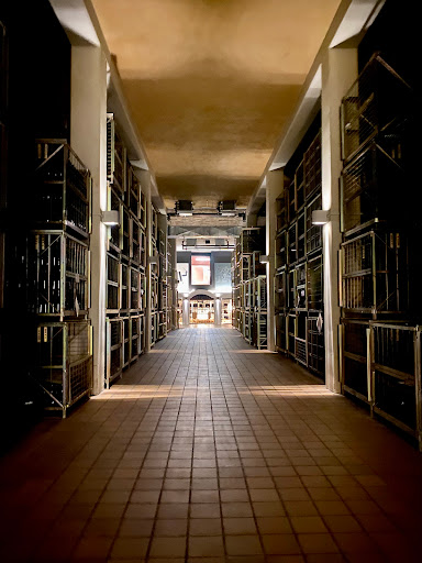 Parking de Bodega Otazu - Thumbnail