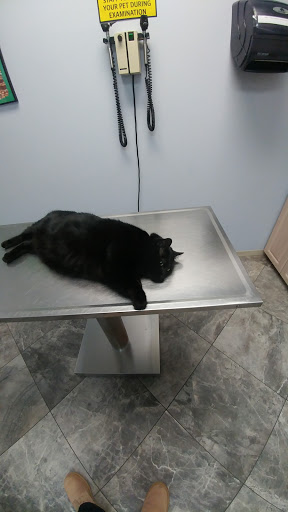Family Pet Clinic - Thumbnail