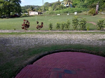 university