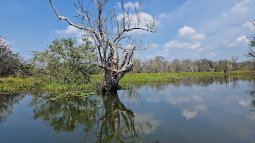 Stausee Steinberg - Visual
