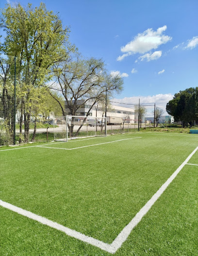 futbol-punta-chica