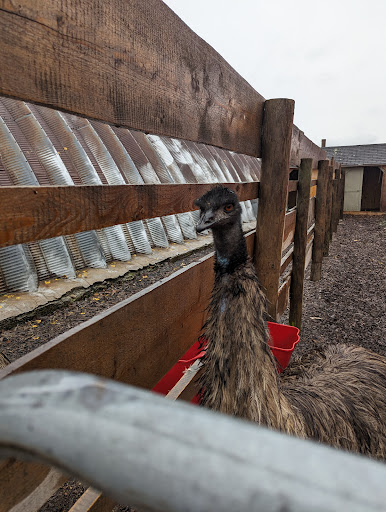 Willowdale Farm - Thumbnail