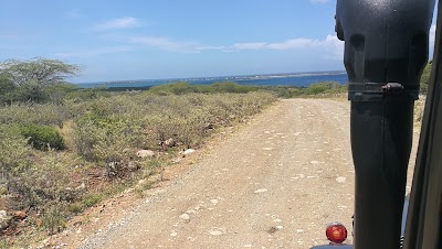 Photos of Playa Los Corbanitos