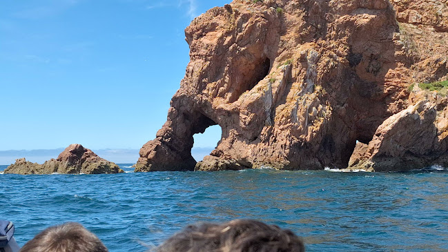 Avaliações doReserva Natural das Berlengas em Peniche - Loja de produtos naturais