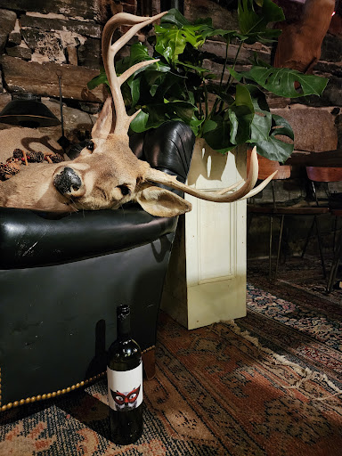 Dos Gatos Gastropub - Thumbnail