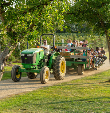 Chudleigh’s Entertainment Farm by null