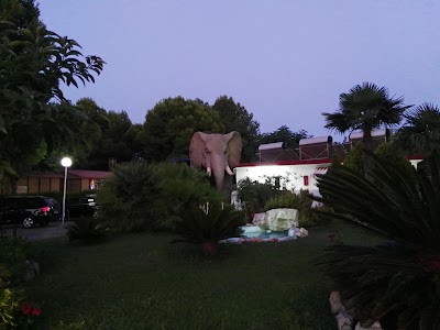 Photos of Camping L'Alqueria