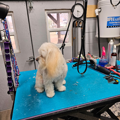 Pampered Paws - Pet Grooming