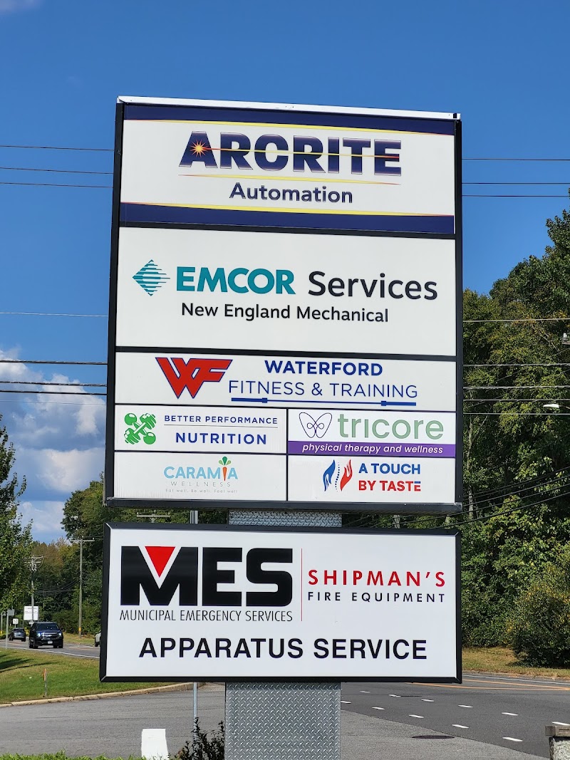 TriCore Physical Therapy and Wellness