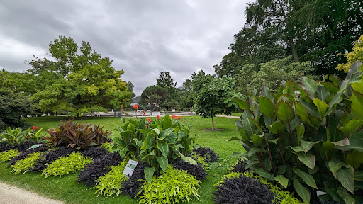 Liegewiese Grüneburgpark - Thumbnail