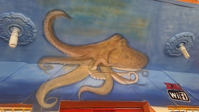 Photos of Pescaderia Restaurant Hendri