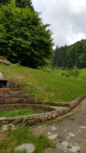 Erbprinz - Thumbnail