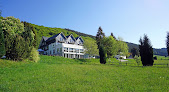 photo de Waldhotel Schinkenwirt à Olsberg