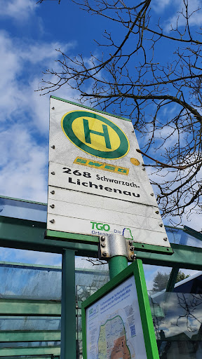 Freistett Busbahnhof - Thumbnail