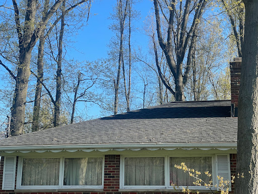 Royalty Roofing - Visual