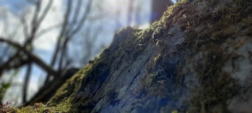 Steinberg - Visual
