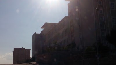 university