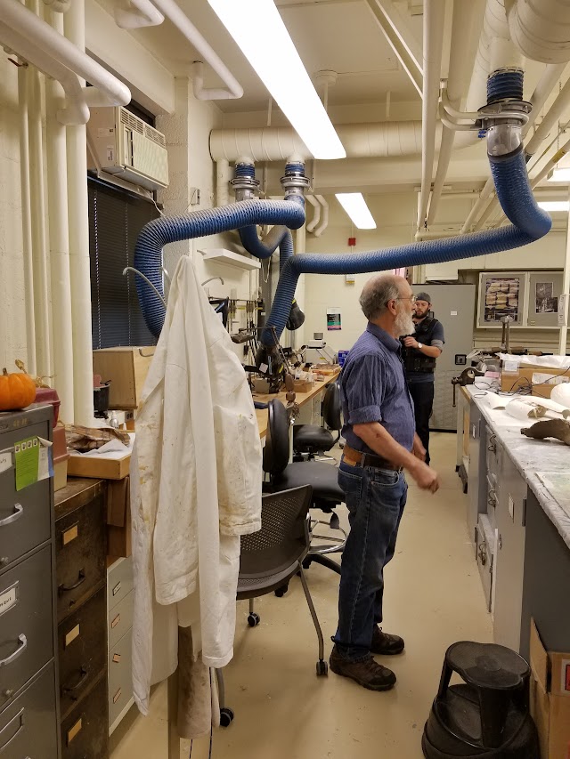 University of Michigan Museum of Natural History
