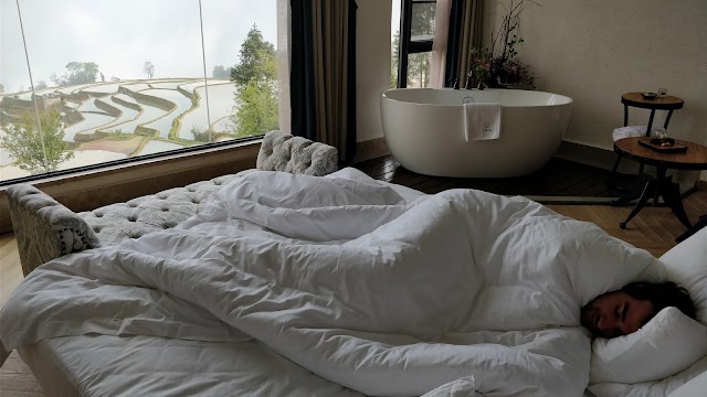 The Twelve Manor•Terraces Lodge