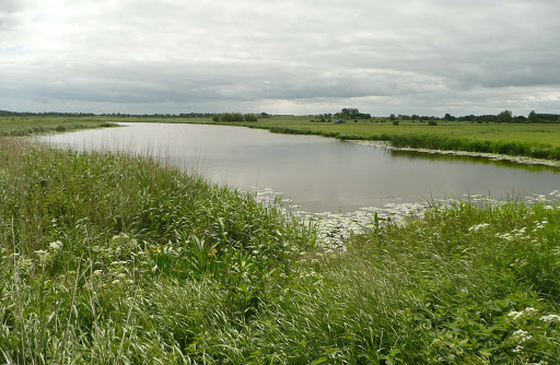 Landcafé Wiesenblick Inh. Manuela Schrank