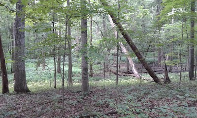 Photos of Lloyd.w.bender Memorial Forest
