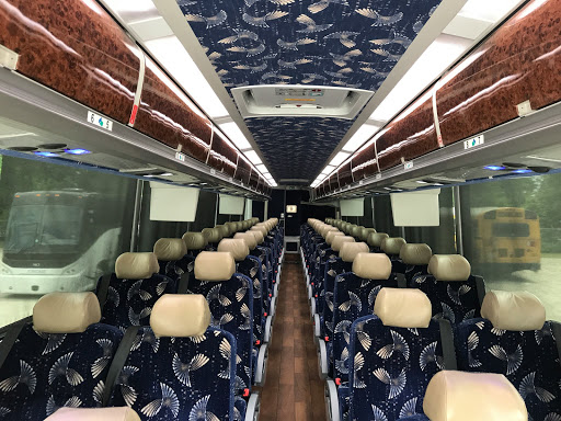 Northeastern Express - Visual