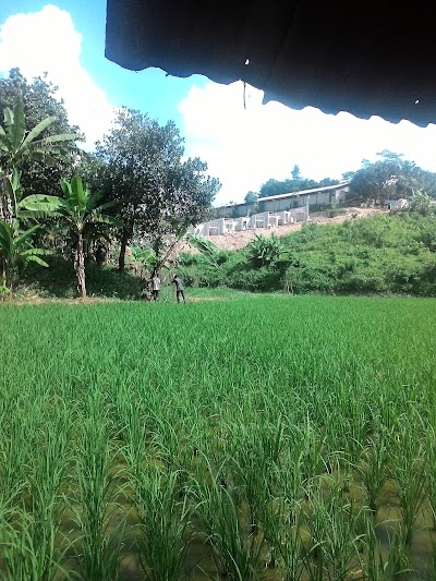 Photos of CIKUDA LAKE