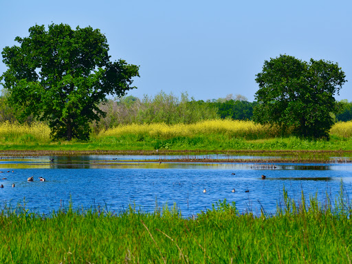 Cosumnes River Preserve - Thumbnail