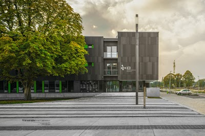 university