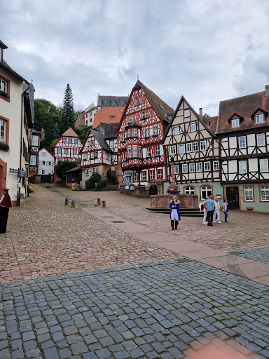 Miltenberg am Main - Thumbnail