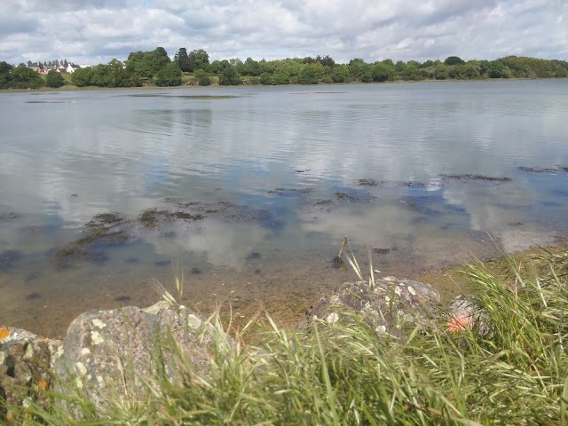 Conleau