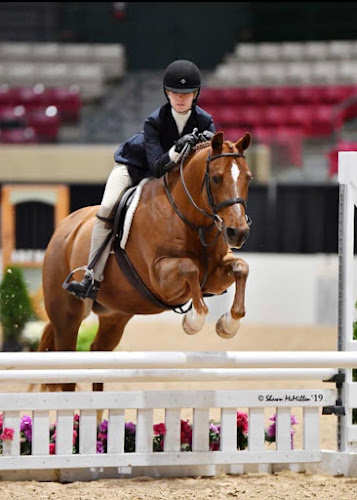 Legacy Hills Stables LLC