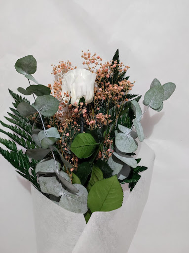 Toc D'amor - Visual