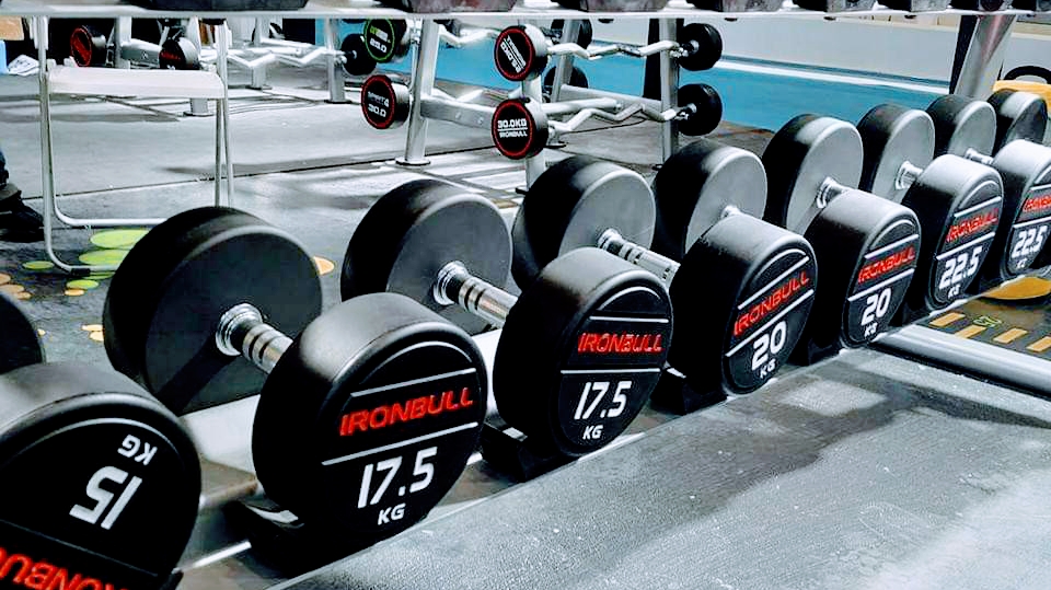 The Gold Fitness Gym