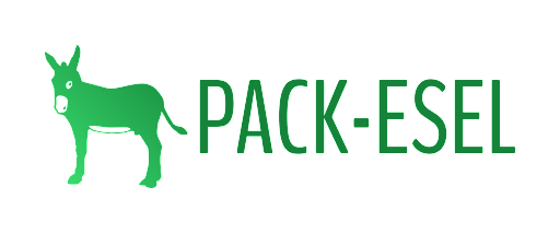 Pack-Esel-Kassel