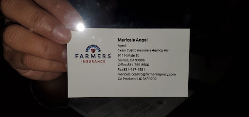 Farmers Insurance - Cesar Castro Gallery - United States